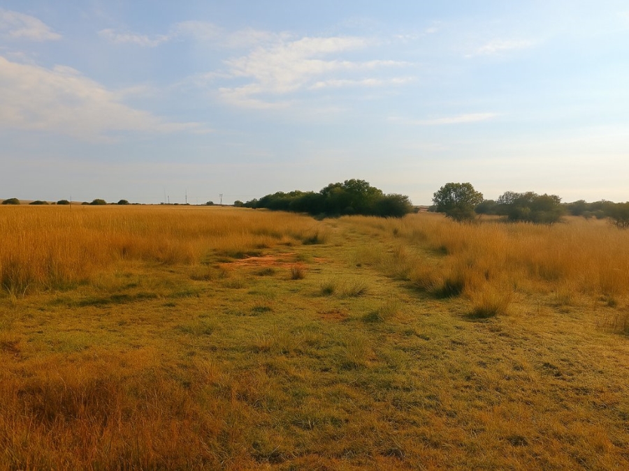  Bedroom Property for Sale in Bloemfontein Rural Free State
